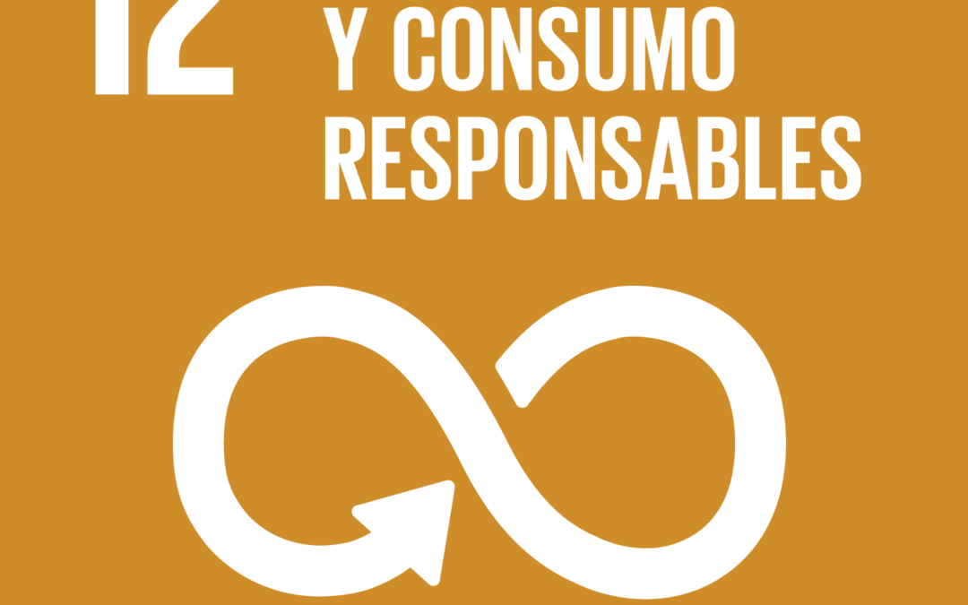 12 Producción Y Consumo Responsables | Construyendo Barrios